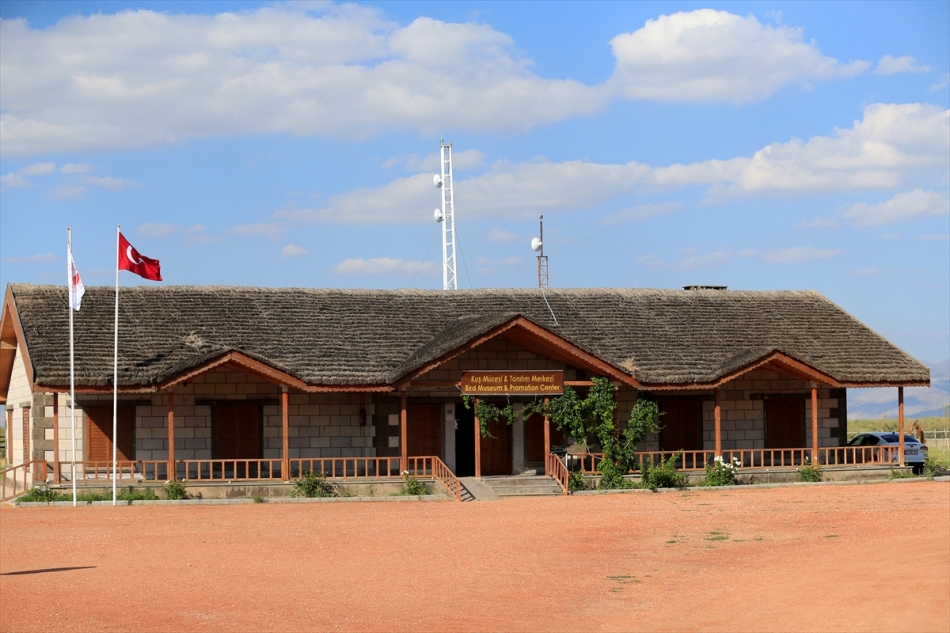 Orta Anadolu'nun kuş cenneti