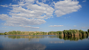 Orta Anadolu'nun kuş cenneti