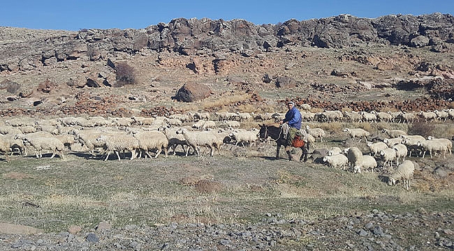 Özel Haber/Epçeli Çobanlardan Miras, Yerel Lezzetlerimizden Meşhur Sütlü Bulgur Pilavı