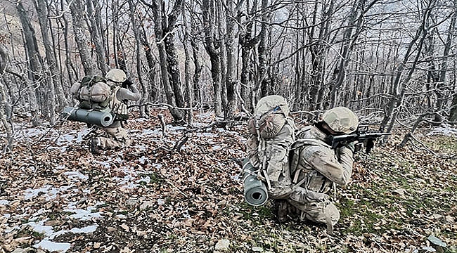 Şenyayla'da teröristlerin sığınağı bulundu
