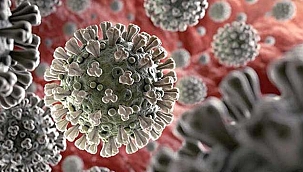 Bilim Kurulu Üyesi Özlü: Virüs gücünü kaybediyor