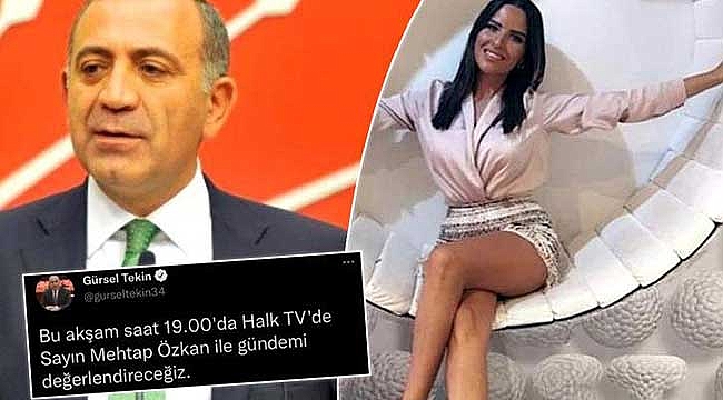Sosyal medyadaki iddialar gerçek çıktı! CHP'li Gürsel Tekin ile Mehtap Özkan'ın nerede tanıştığı belli oldu