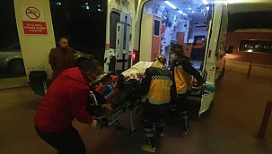 Akraba iki aile arasında 'köpek' kavgası...