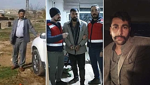 Akraba iki ailenin köpek kavgasında flaş gelişme!