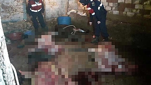 At ve eşek kesen 5 kişiye suçüstü!