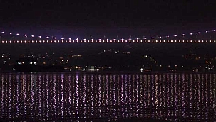 Ayçiçek yağı yüklü 3'üncü gemi İstanbul Boğazı'ndan geçti