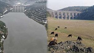 Barajlardaki doluluk oranı arttı. 'Keçiler gitti, sandallar geldi'