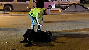Bisikletliye otomobil çarptı. Yaralıyı polis sakinleştirdi