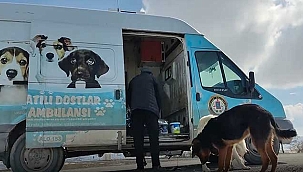 Bünyan Belediyesi Sokak Hayvanlarını Unutmadı