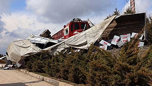 Feci Kaza! Hemzemin geçitte yük treni, TIR'a çarptı