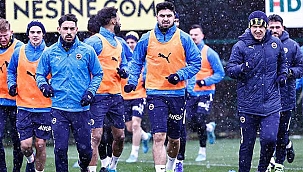 Fenerbahçe, Aytemiz Alanyaspor'la deplasmanda karşılaşacak