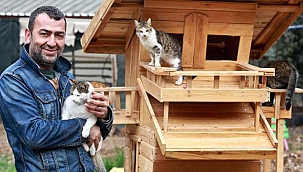 Görevi kötüye kullandığı tespit edilen sokak hayvanları derneği başkanına hapis!