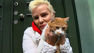 İlginç paylaşım! Ömür Gedik ete zam geldiğini görünce... 