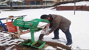 İncesu Belediyesi Sokak Hayvanlarını Unutmadı