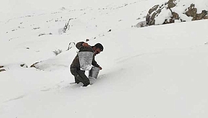 Kayseri'de pazar artığı sebzeler yaban hayvanları için doğaya bırakıldı