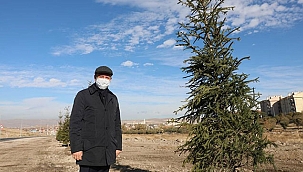 Kocasinan'da ağaçlandırma çalışmaları sürüyor