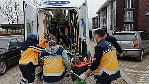 Köpek için tartıştığı çifte...