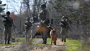 MSB: Yasa dışı yollardan Yunanistan'a geçmeye çalışan 5'i FETÖ mensubu 8 kişi yakalandı