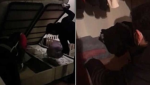 Organize suç örgütüne dev operasyon! Çok sayıda gözaltı