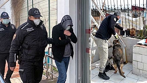 Pitbull köpekli torbacılar serbest bırakıldı