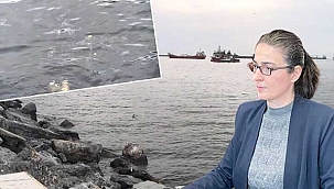 Prof. Dr. Okyar, Marmara Denizi'ndeki müsilaj için uyardı