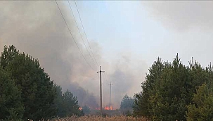 Rus ordusu, Zaporijya Nükleer Santrali yakınındaki kasabaya girdi