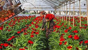 Rusya ,Ukrayna Savaşı'nın Antalya tarımına faturası: 233 milyon dolar