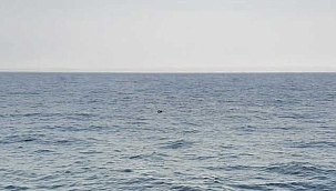 Son Dakika: İğneada açıklarındaki mayın imha edildi