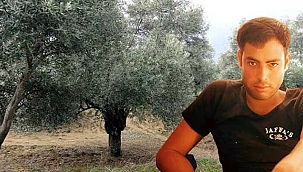 Zeytin toplamaya giden Hakkı'dan...