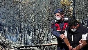  25 kişinin gözaltına alındığı operasyonun arkasından orman vurgunu çıktı