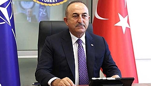 Bakan Çavuşoğlu, İrlanda'lı mevkidaşı ile görüştü
