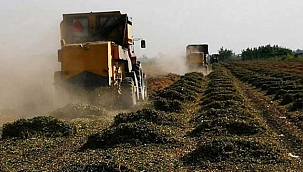Bakan Kirişci açıkladı! Çiftçilere destek ödemesi ne zaman yapılacak?
