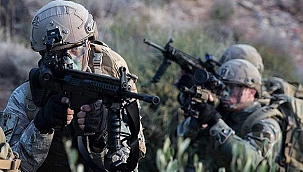 Barış Pınarı bölgesine 2 PKK/YPG'li terörist etkisiz hale getirildi