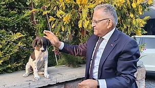 Başkan Büyükkılıç: “Sokak Hayvanlarımız İçin Yeni Ve Modern Barınak Yapacağız”