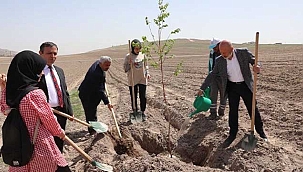Başkan Çolakbayrakdar, Üniversite Öğrencileriyle Vuslat Ormanına Fidan Dikti