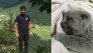 Flaş Habar! Kedi katiline hapis ceası!