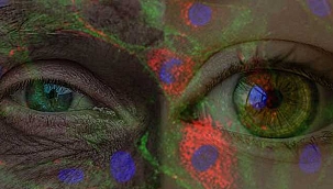 Flaş Haber! Bilim insanları 53 yaşındaki kadının cildini 30 yıl gençleştirdi