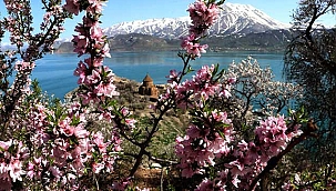 Fotoğrafçı turistlerin uğrak yeri Akdamar Adası'na...