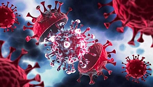 Gizemli virüs yayılmaya devam ediyor!Bir ülkede daha görüldü!