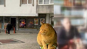 Hayvanseverleri çileden çıkaran iddia!