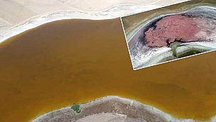 Her yıl pembe rengine bütünen göl kahverengi oldu