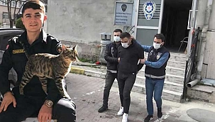 Hırsızlıktan yakalanan şahsın cinayatten arandığı ortaya çıktı