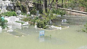 Karların erimesi taşkına neden oldu. Mezalıklar sularla...