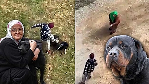 Köpeğe şiddet uygulayanı engelleyen kadın...