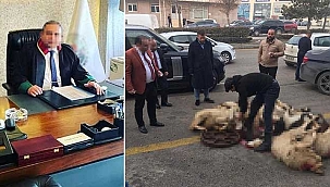 Kurban keserek serbest kalmasını kutlayan avukat yeniden tutuklandı