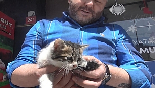  Mazgala düşen yavru kedi kurtarıldı