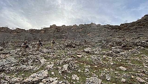 MSB duyurdu! 'Eren Kış-33 Şehit Jandarma Er Harun Lal Operasyonu' başlatıldıl