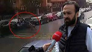 Pitbull cinsi köpeklerin saldırısından otomobilin üstünne çıkarak kurtuldu