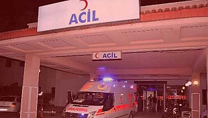 Şap hastalığı nedeniyle 7 mahalle karantina altına alındı