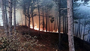 Son Dakika: İzmir'de orman yangını